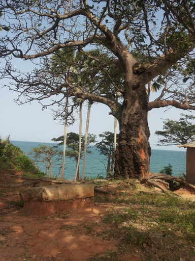 Others 5, Bendula, Kombo South