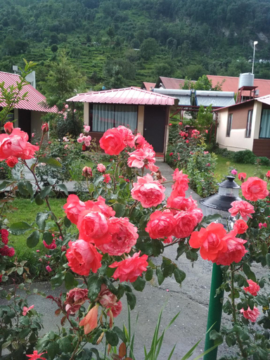 Others 4, Buransh Heli Resort, Rudraprayag