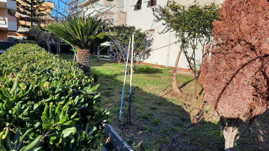 Others 5, Casa di Checco, Ascoli Piceno