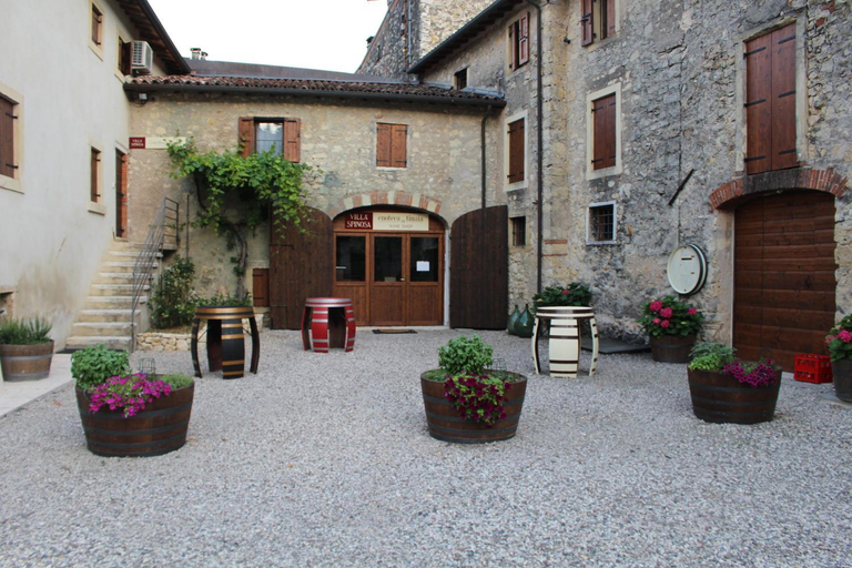 Others 4, Corte Spinosa, Verona