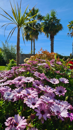 Exterior & Views 2, Villa Martinus, Alpes-Maritimes