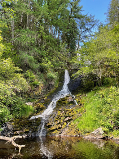 Others 5, Y Felin Bed and Breakfast and Smallholding, Powys