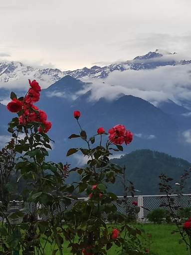 Others 5, Buransh Heli Resort, Rudraprayag