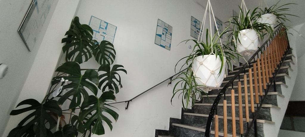 2, Cozy room in quiet neighbourhood, Attica