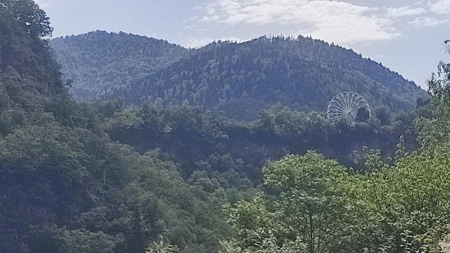 Others 3, Borjomi Nest, Borjomi