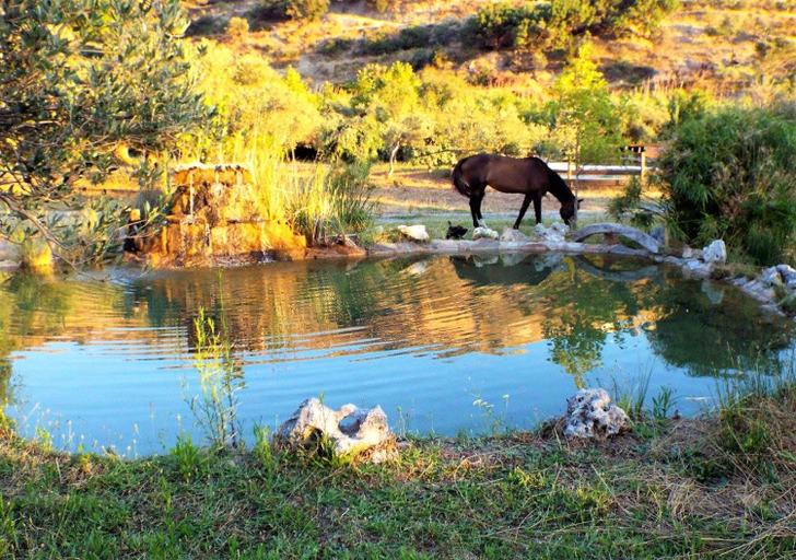 Others 4, Villas and apartments on a private farm, only 1 km away from the beach!, Crete