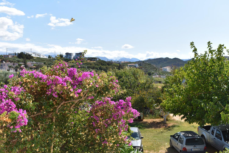 Others 3, Giannis & Maria Gramvousaki Apts, Crete