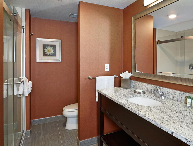 Bathroom 3, Hampton Inn by Hilton Calgary Airport North, Division No. 6