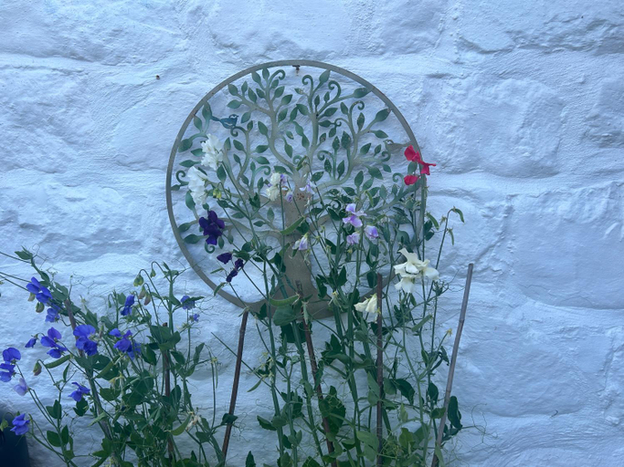 Others 3, Y Felin Bed and Breakfast and Smallholding, Powys