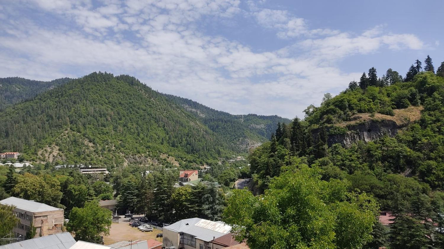 Others 1, Borjomi Nest, Borjomi