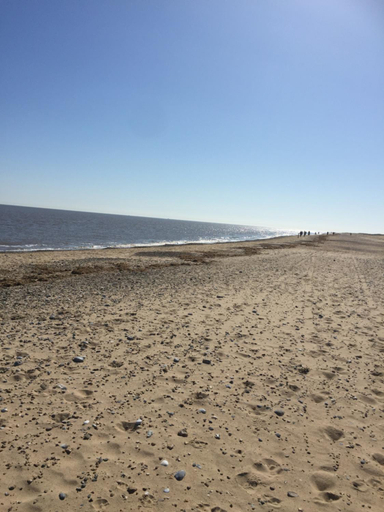 Others 4, 2 bed dog friendly chalet on sunbeach Scratby, Norfolk