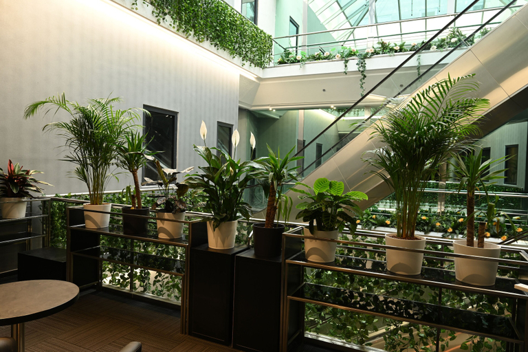 Food & Drinks 5, Fashion City Hotel, Budapesti