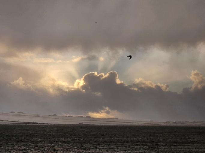 Others 5, VitaVer, Orkney Islands