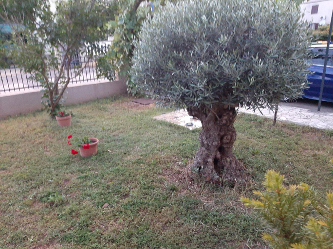 Others 2, Apartman SILVANO, Rovinj