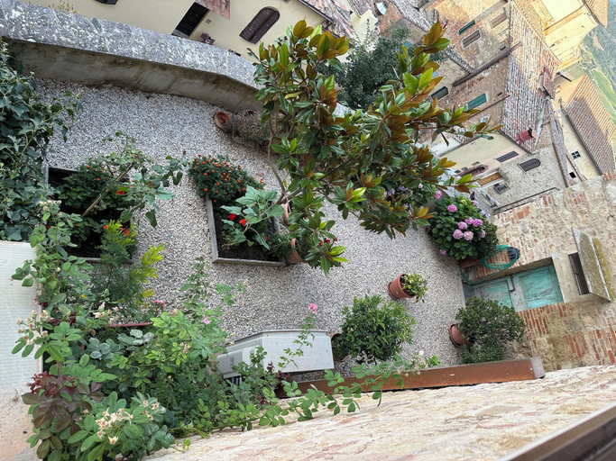 Exterior & Views, Il nido dell'Upupa, Siena