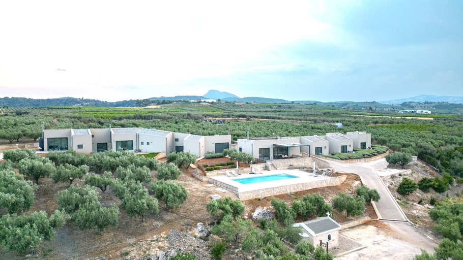 Others 5, The Olive Hill, Peloponnese