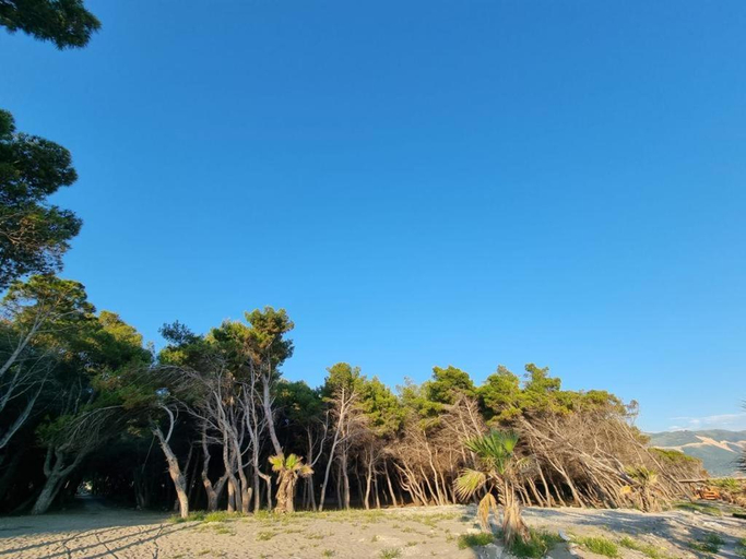 Others 5, Dhoma plazhi Agimi, Vlorës