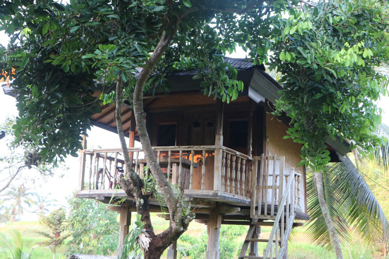Mesari Cottage Guest House, Buleleng