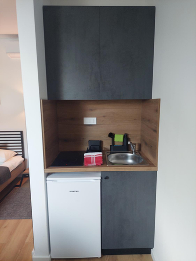 Others 2, COMFORT Suites VELIKA GORICA, Velika Gorica