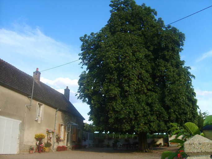 Others 4, Armalou, Nièvre