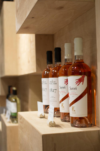 Food & Drinks 5, Wine Hotel Chisinau, Chisinau