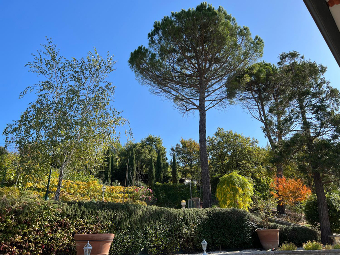 Surrounding environment 3, Casa dei Tramonti, Perugia