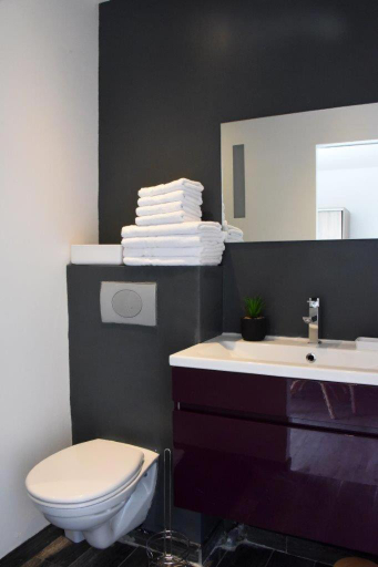 Bathroom 2, Home Place Apartments - Langon Sauternes, Gironde