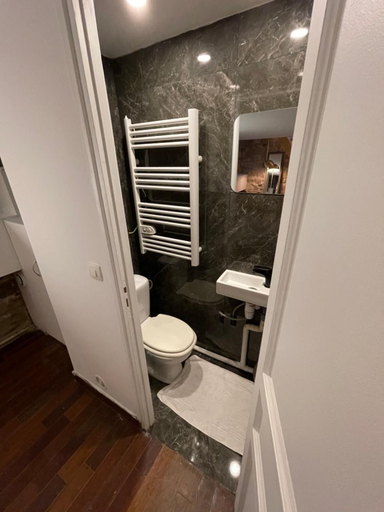 Shower 4, Canal Saint Martin apartments, Paris