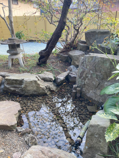 Others 4, Ichie, Kyōtanabe