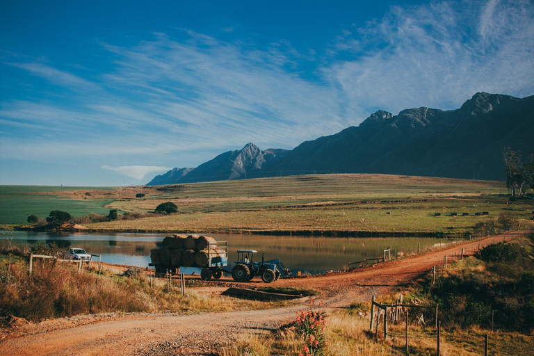 Others 5, Appelsbosch Guest Farm, Overberg