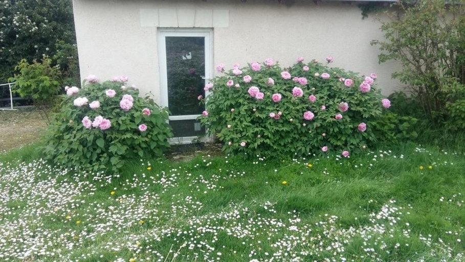 Others 5, Chambre d'hote Monthodon, Indre-et-Loire