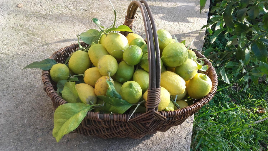 Food & Drinks, Casa di Ceppo, Haute-Corse