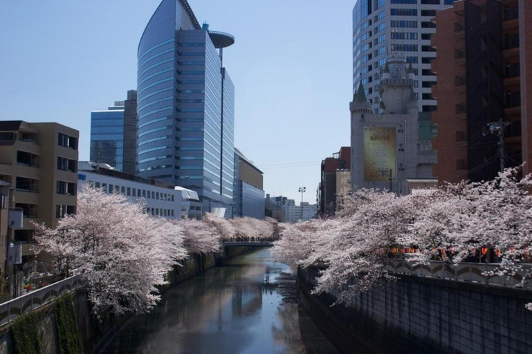 Others 5, Meguro Emperor (Adult Only), Meguro