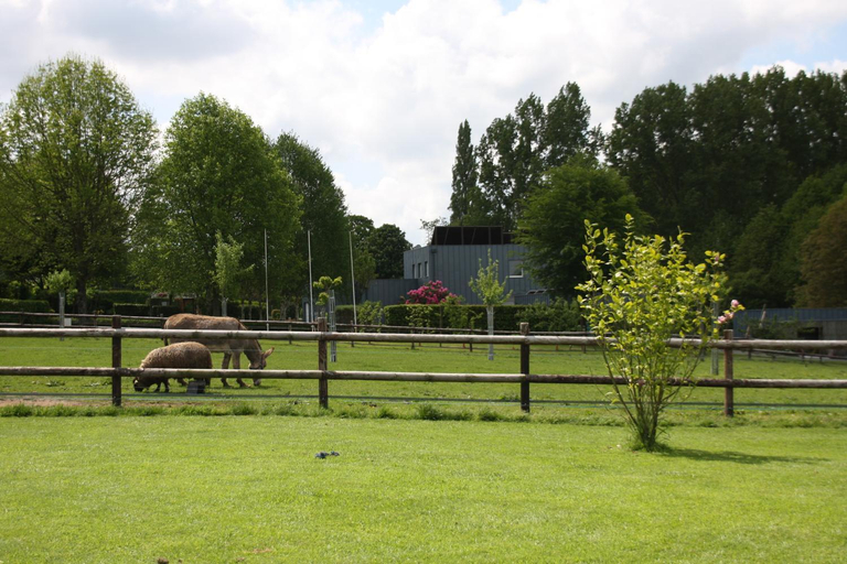 Others 4, Le Verger B&B, Mayenne