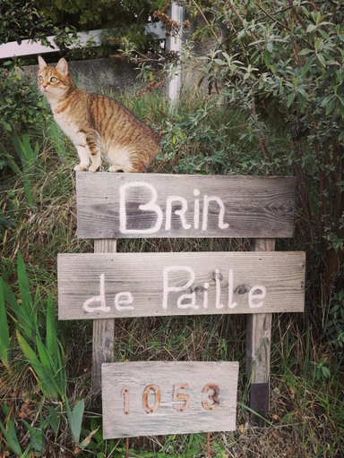 Others 5, Brindepaille, Ardèche