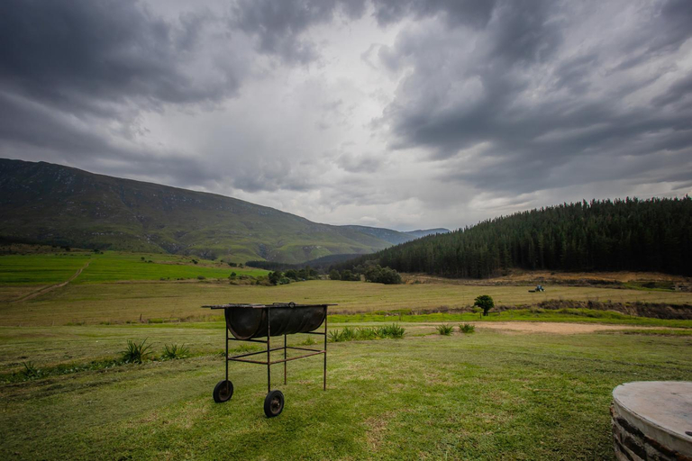 Others 3, Appelsbosch Guest Farm, Overberg