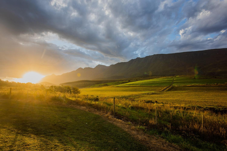 Others 2, Appelsbosch Guest Farm, Overberg