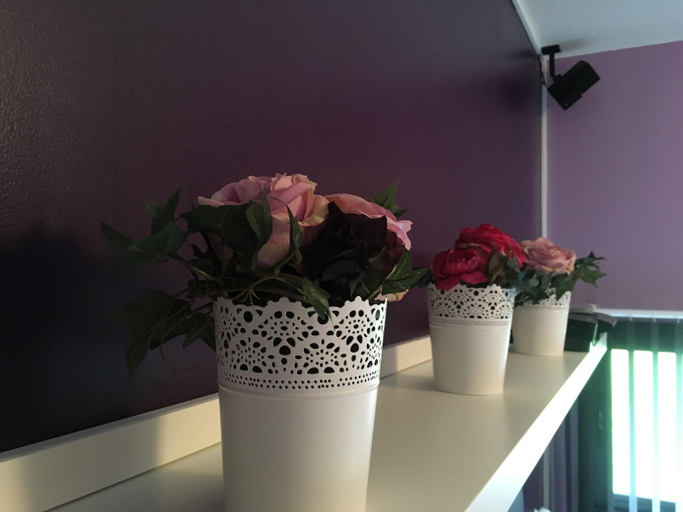 Others 5, Le Verger B&B, Mayenne