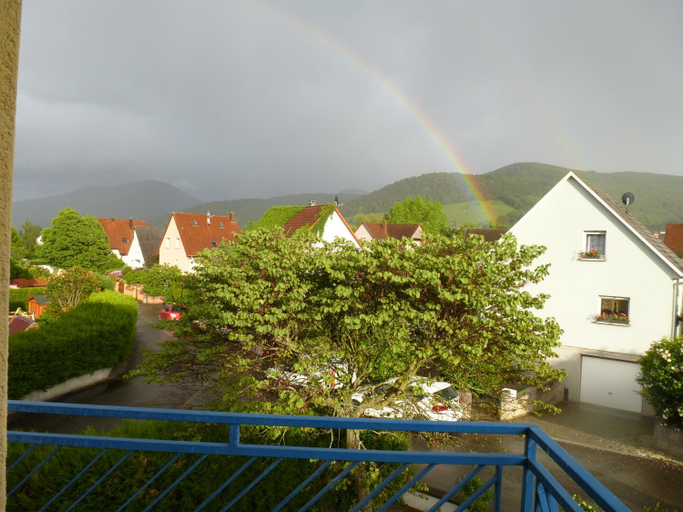 Others 3, Alsace nature et decouvertes, Haut-Rhin