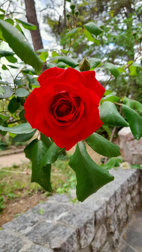 Others 4, Castell Rose, Pyrénées-Orientales