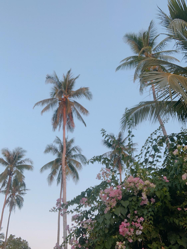Scenery 17