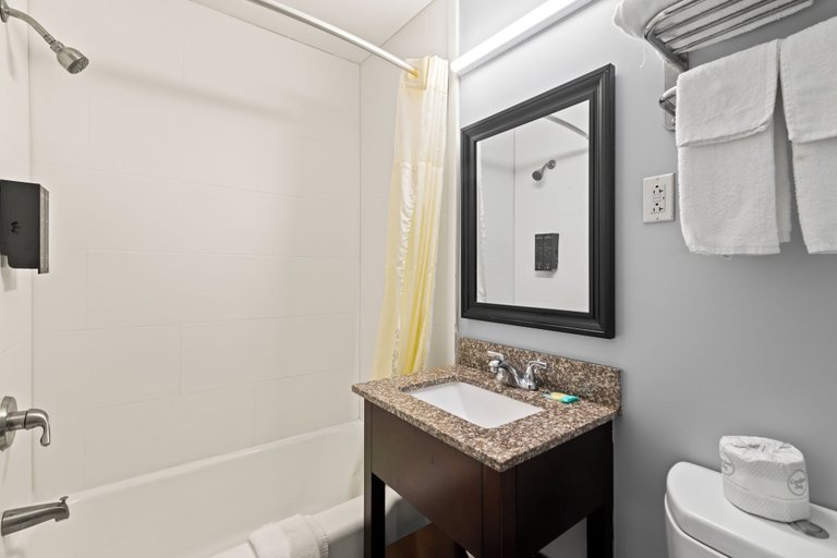 Bathroom 5, Plaza Inn, Essex