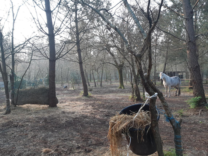 Others 4, Domaine de l’Escuderia, Landes