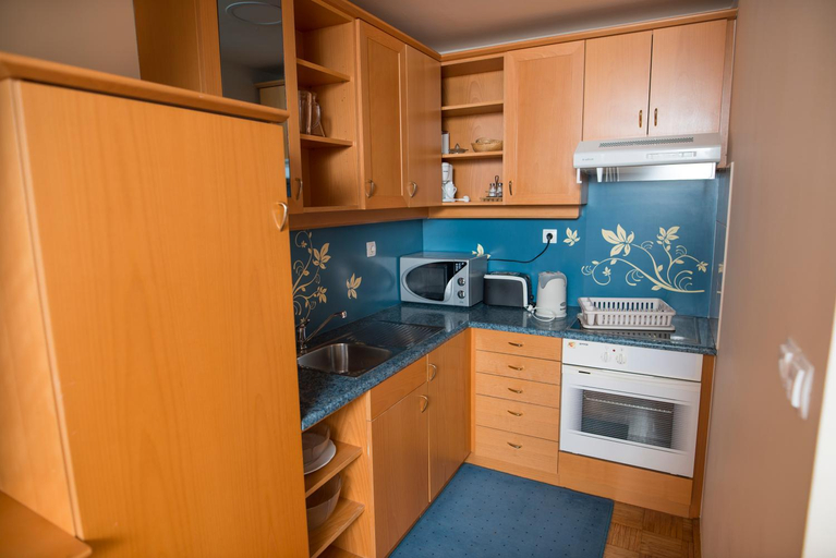 Others 4, Apartments Vila Golf - Flucher Turizem, Rogaška Slatina