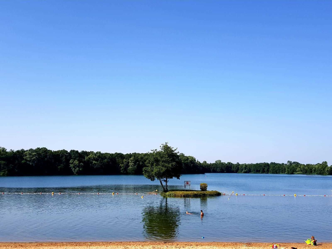 Others 5, Les Voiles de Laives, Saône-et-Loire