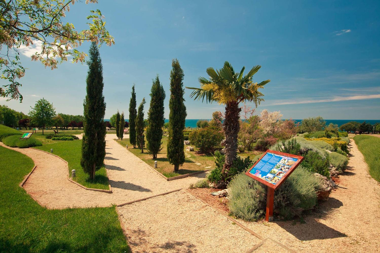 Garden, Holiday Mobile Homes Park Riviera, Brtonigla