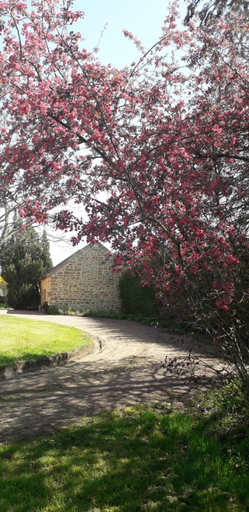 Others 3, Chambres d'hotes La Maison d'Apres, Saône-et-Loire