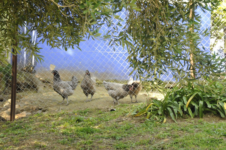 Others 4, Finca La Cantarera, Cádiz