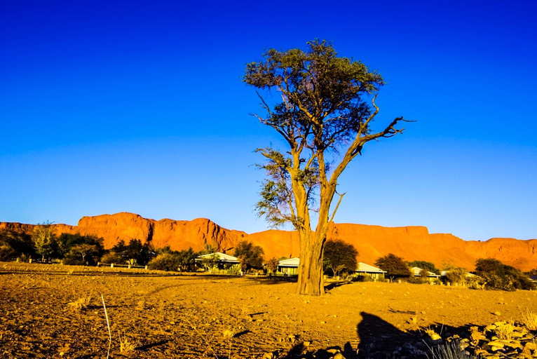 Others 2, Namib Desert Campsite, Gibeon