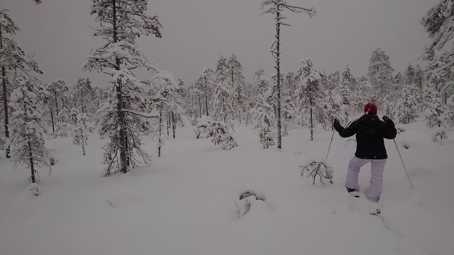 Others 2, B&B Aittoranta, Kainuu